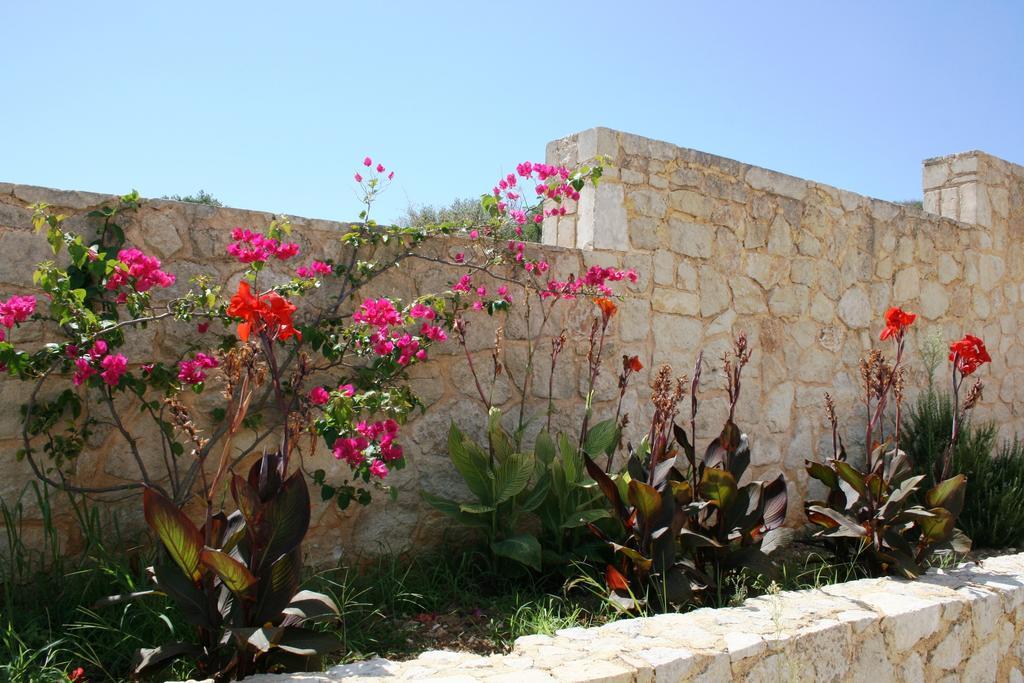 Lagoon View Apartments - Adults Only Lassi  Quarto foto